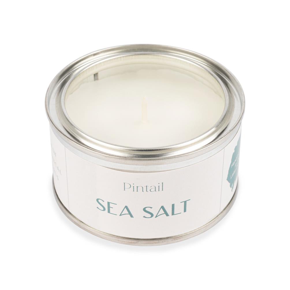 Pintail Candles Sea Salt Paint Pot Candle Extra Image 2